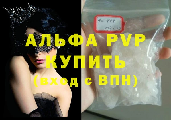 индика Майский