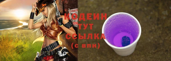 индика Майский