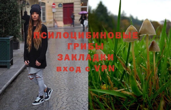 не бодяженный Магас