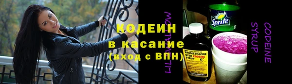 индика Майский