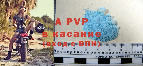 индика Майский