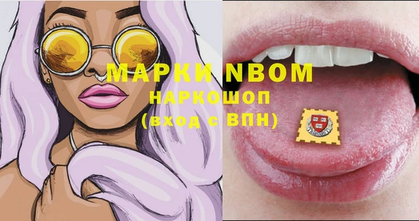 индика Майский