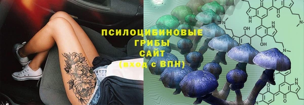 не бодяженный Магас