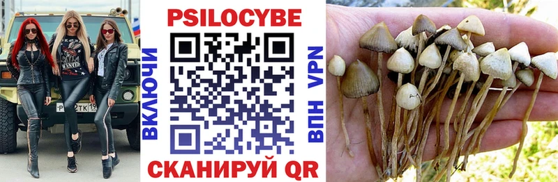 Купить где  Межгорье  Галлюциногенные грибы MAGIC MUSHROOMS 